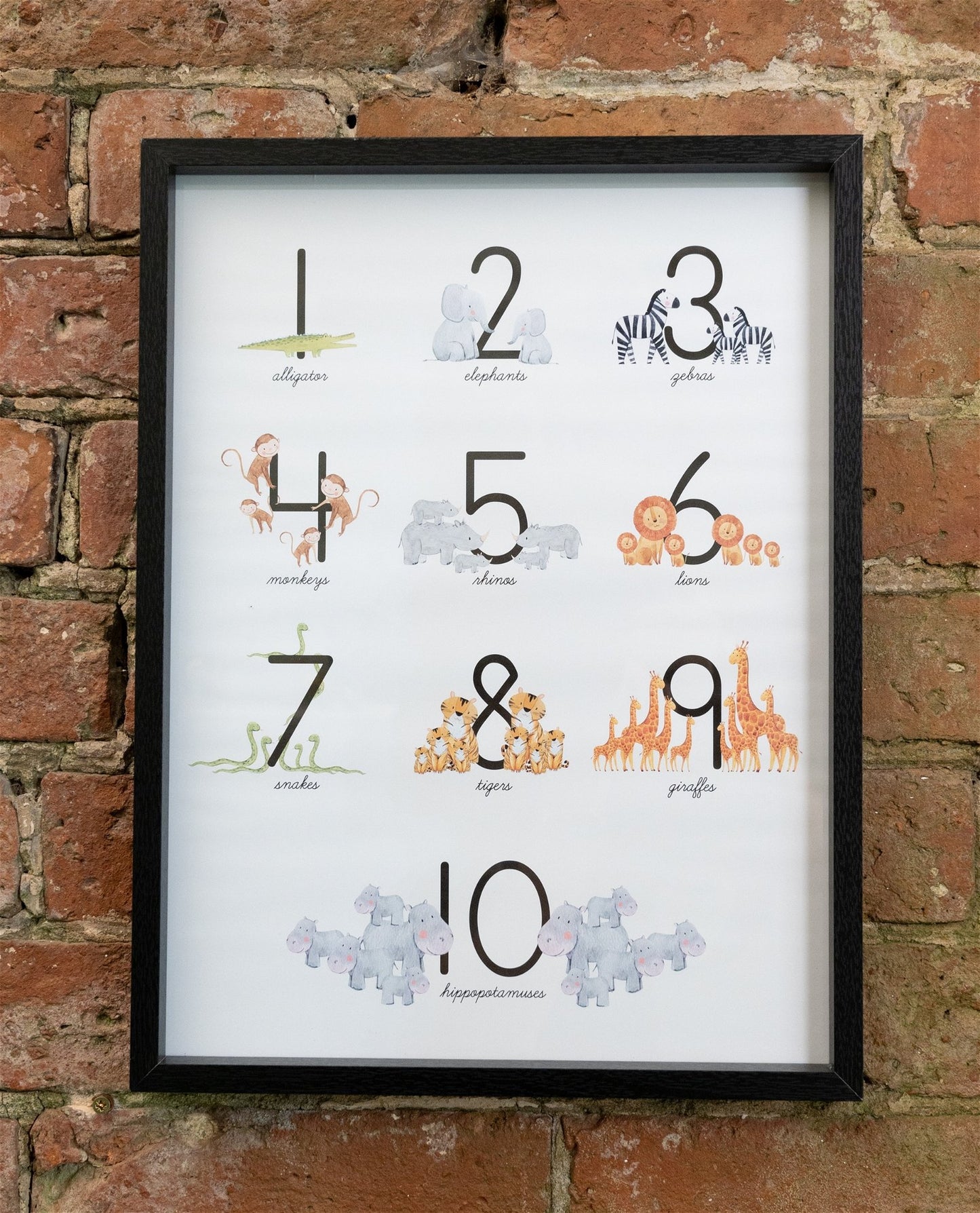 Baby Number 1-10 Animal Print Frame - BerPar