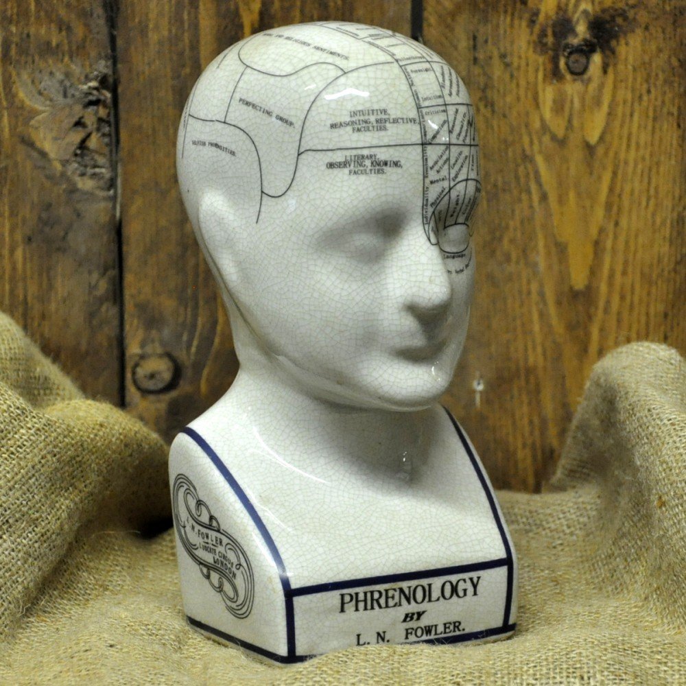 Ceramic Phrenology Head 20cm - BerPar