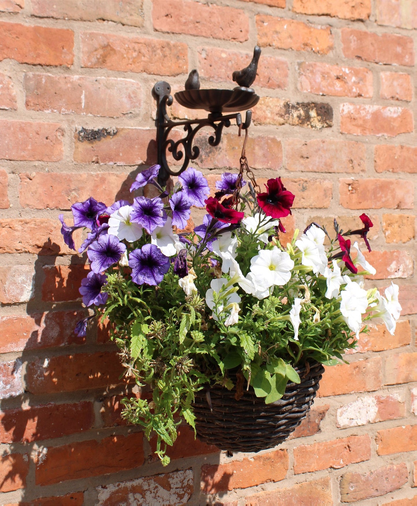 Cast Iron Hanging Basket Wall Bracket With Bird Feeder - BerPar