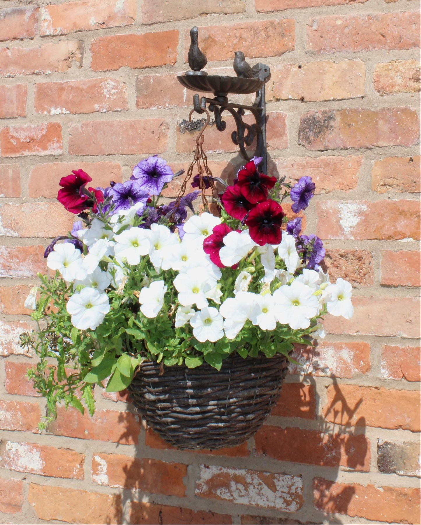 Cast Iron Hanging Basket Wall Bracket With Bird Feeder - BerPar