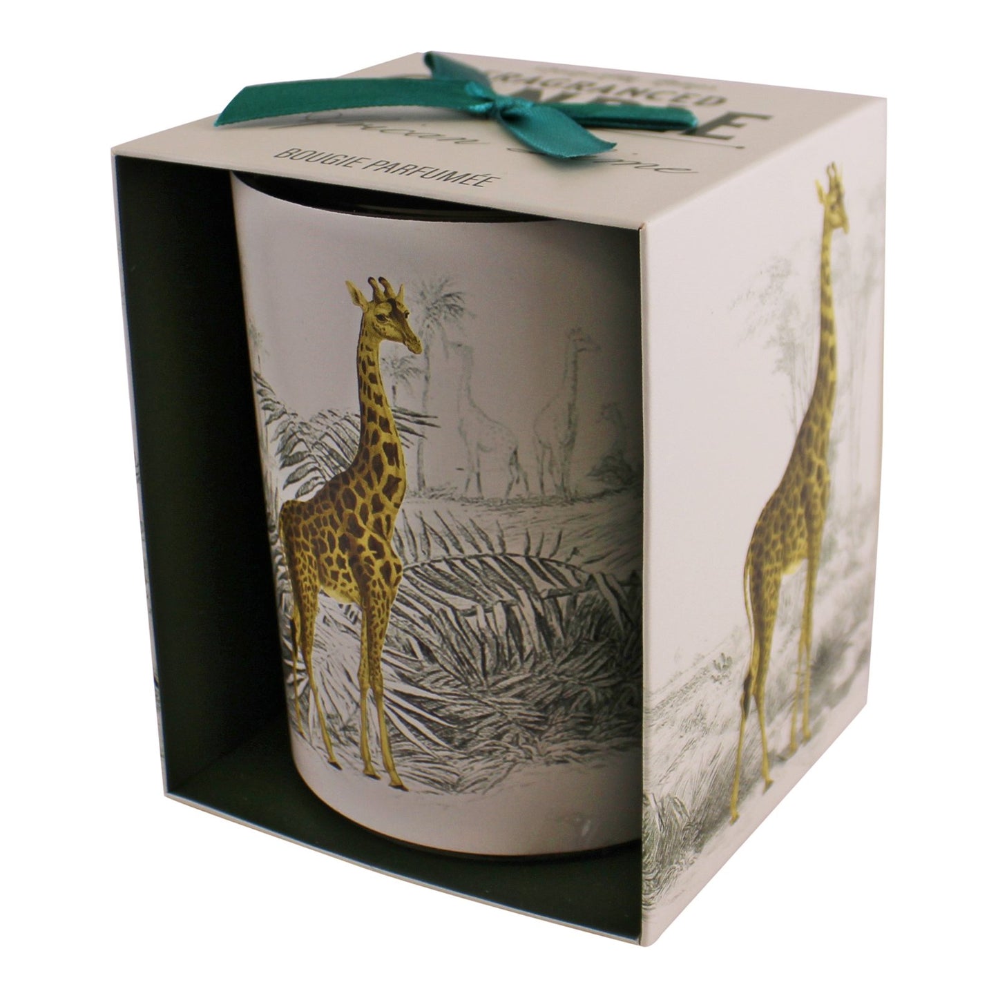 Set of 3 Tropical Safari Candlepots - BerPar