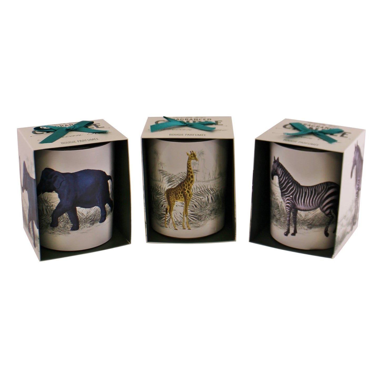 Set of 3 Tropical Safari Candlepots - BerPar