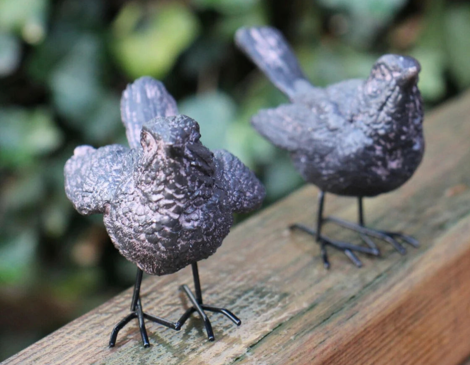 Garden Animals - BerPar
