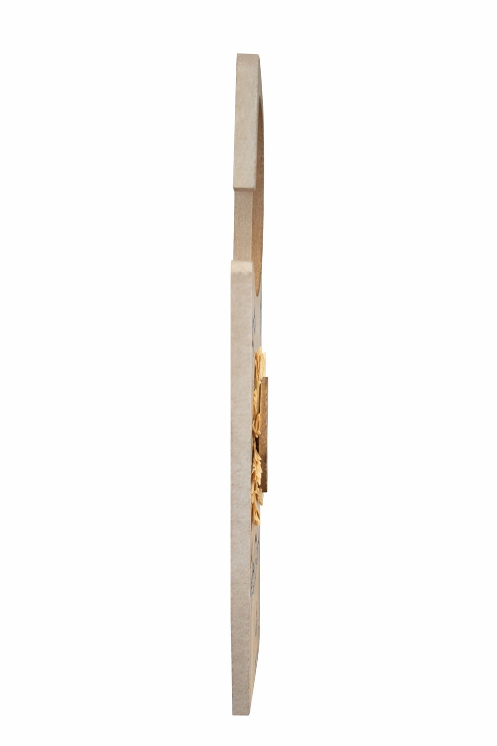 Decorative lion door hanger for children room
