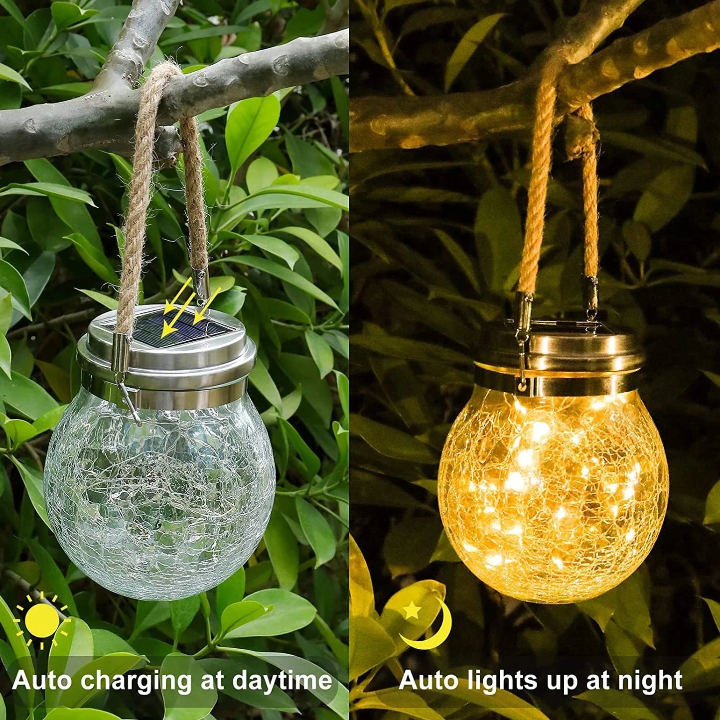 Solar-powered glass globe light hanging on a branch, auto-charging during the day and lighting up at night.