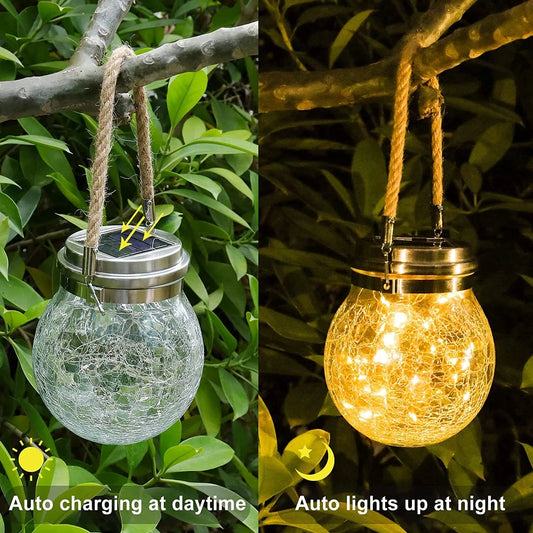 Solar-powered glass globe light hanging on a branch, auto-charging during the day and lighting up at night.