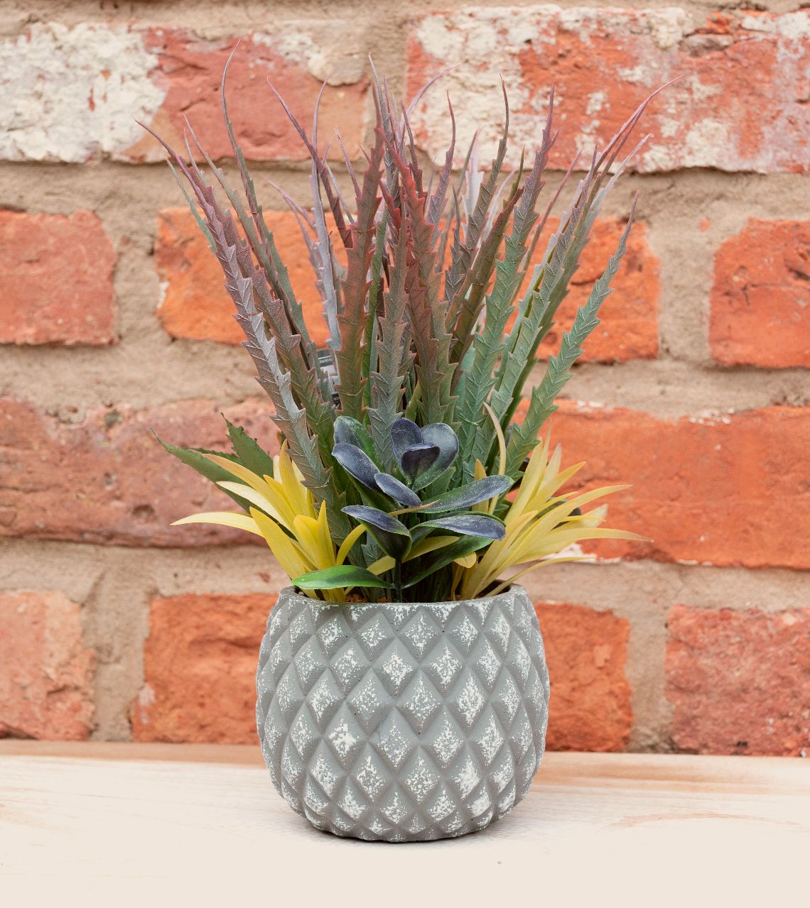 Succulents in Small Lattice Design Grey Pot