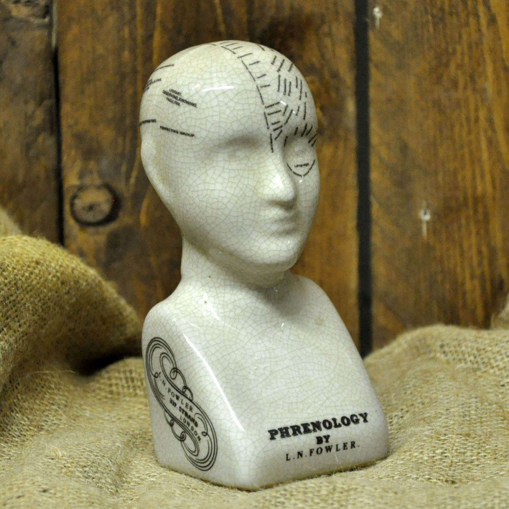 Ceramic Phrenology Head 17cm - BerPar