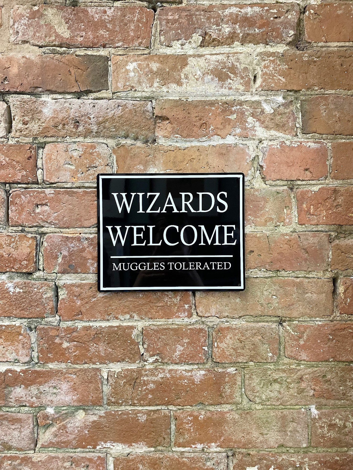 Metal Wall Sign - Wizards Welcome Muggles Tolerated