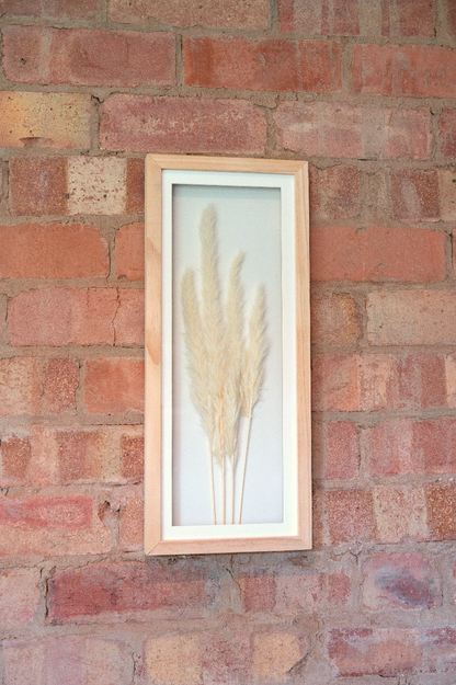 White Pampas In Rectangular Frame 50cm