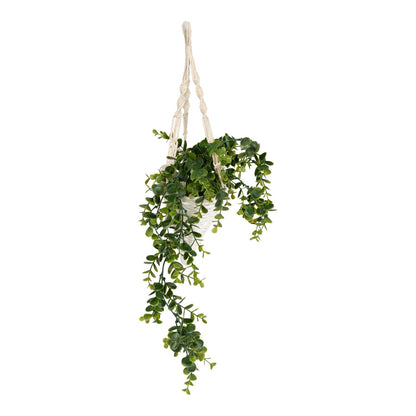 Waxed Macrame Hanging Eucalyptus Decoration