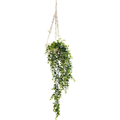 Waxed Macrame Hanging Eucalyptus Decoration