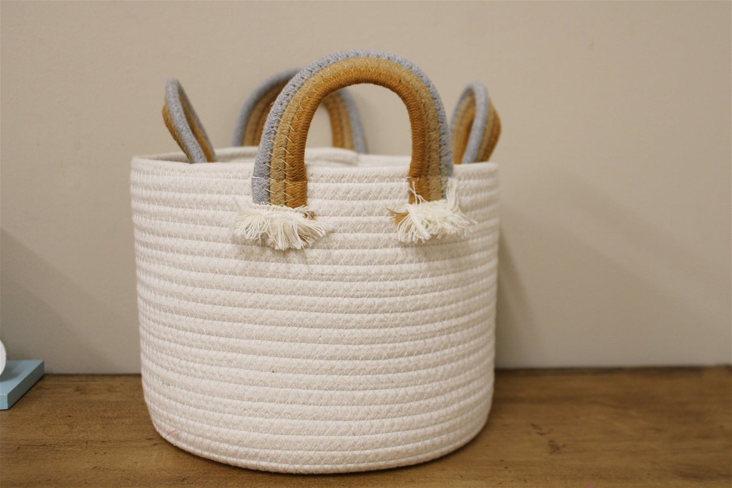 Pair of Rainbow Handled Baskets