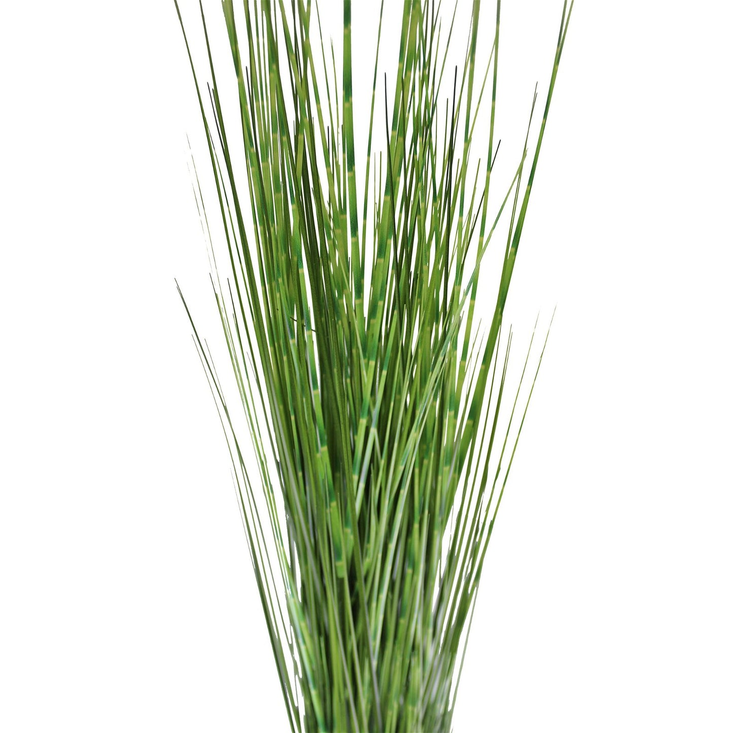 Large Bamboo Spray, 116cm