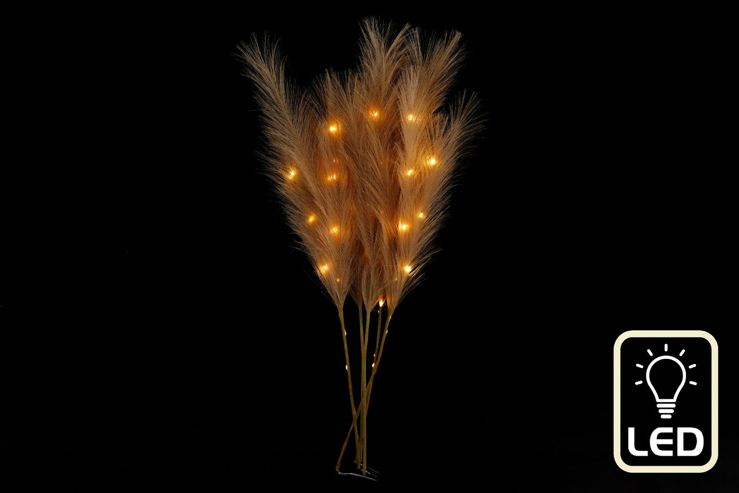 Set of Five Brown Led Pampas Grass Stems