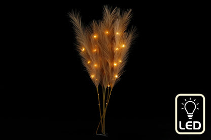 Set of Five Brown Led Pampas Grass Stems