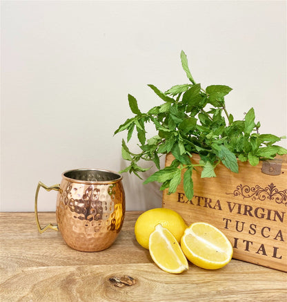 Moscow Mule Copper Coloued Cocktail Mug 12cm