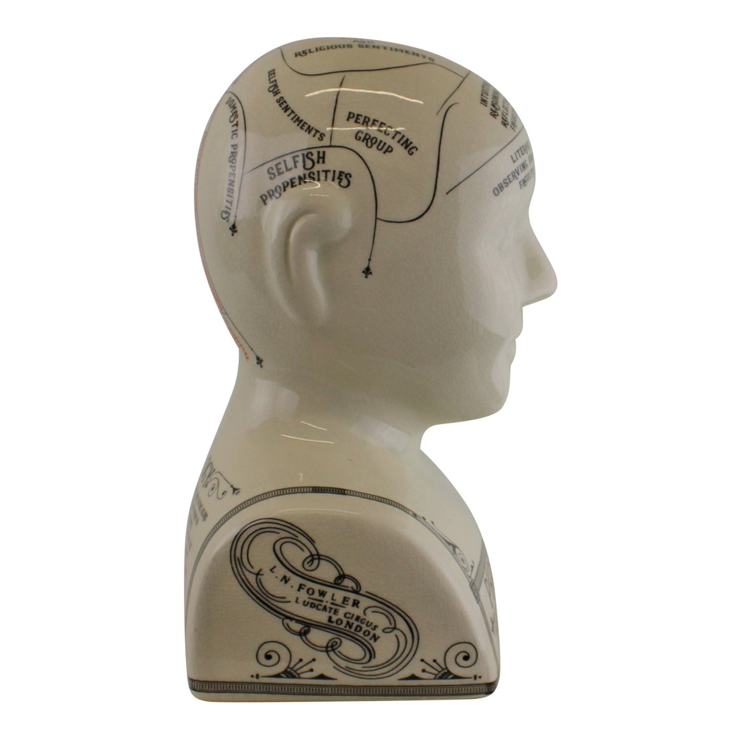 Large Ceramic Crackle Phrenology Head