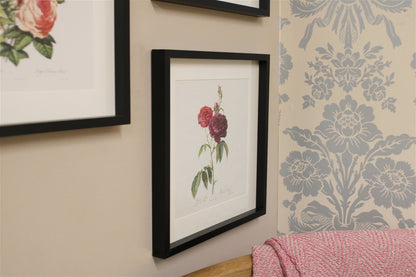 Set of Three Pink Rose Prints in Frames