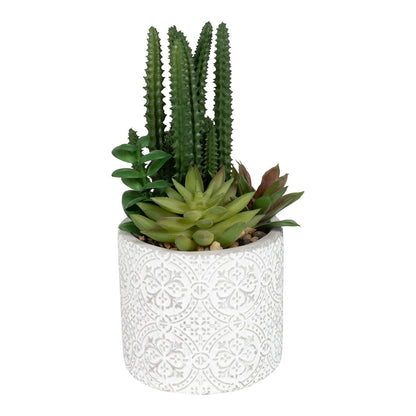 Succulents In Aztec Embossed Pot