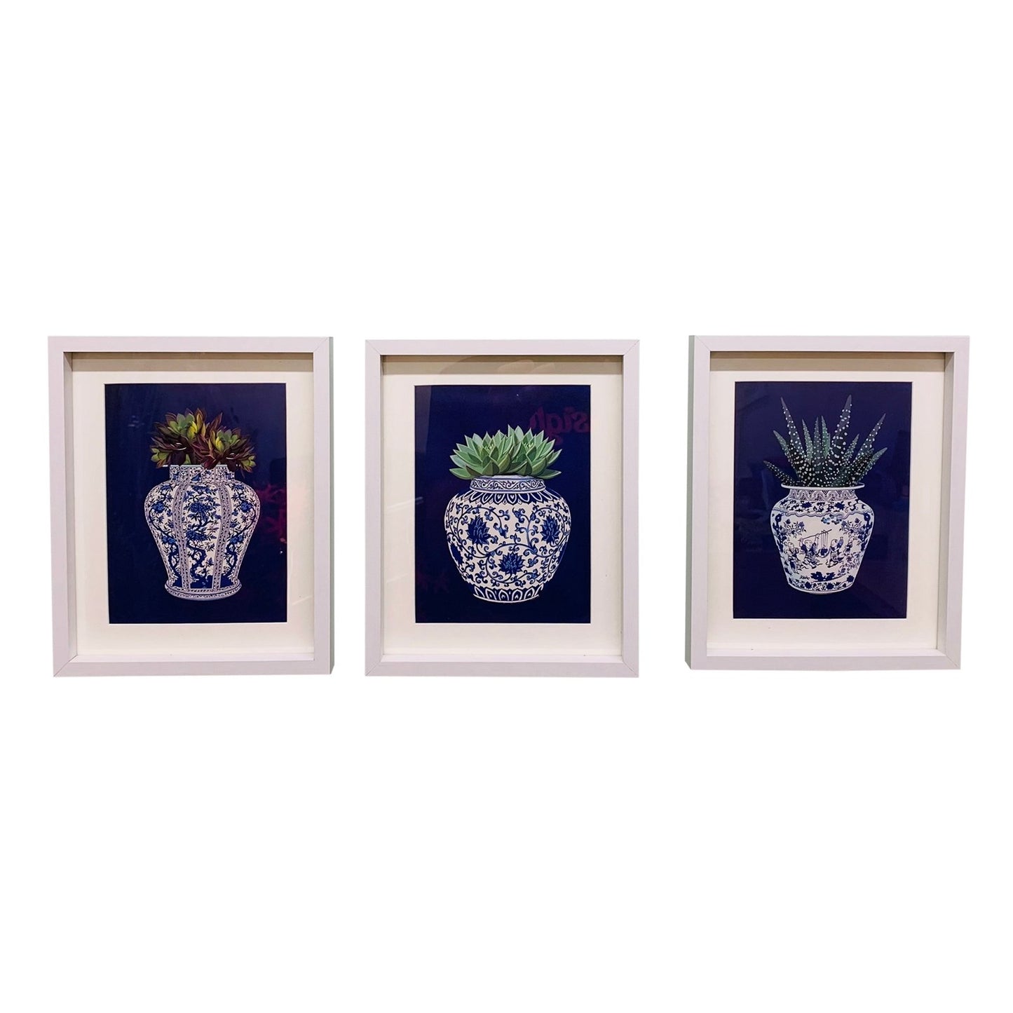 Set of 3 Photo Frames Depicting Succulents In A Blue Vase 25cm