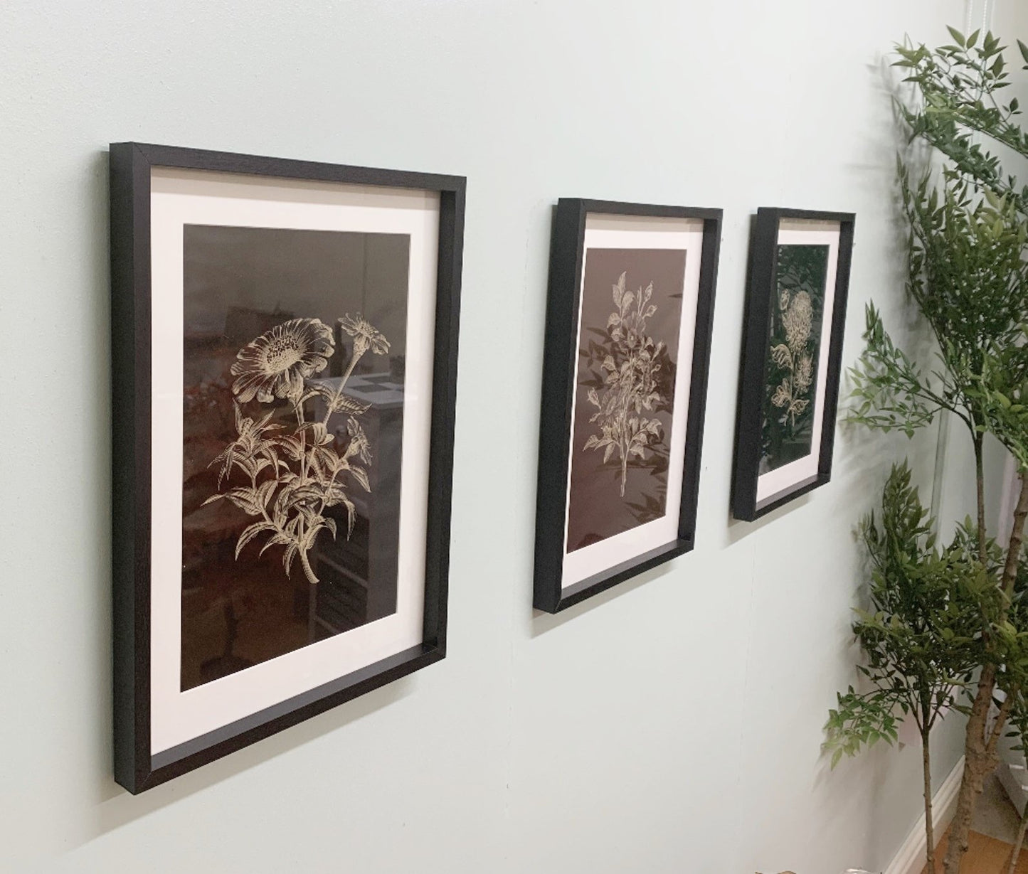 Set of 3 Luxe Flower Framed Prints 40cm