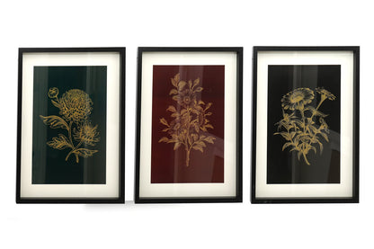 Set of 3 Luxe Flower Framed Prints 40cm